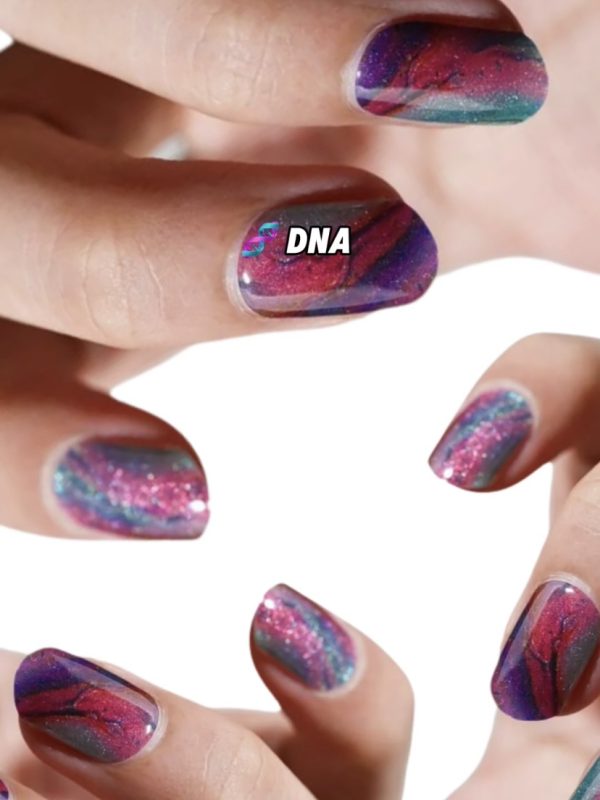 🧬 DNA