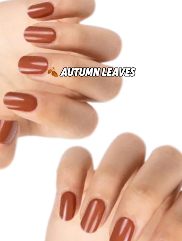 🍂 Autumn leaves