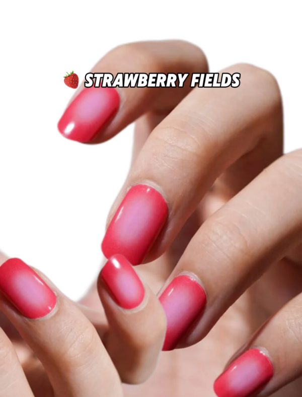 🍓 Strawberry fields