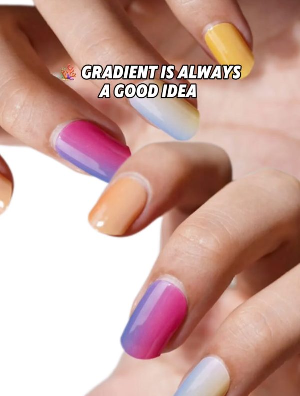 🪸 Gradient is always a good idea